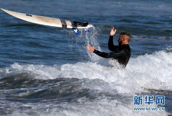寻找沙漠珍宝
