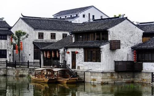 忍者鲨鱼